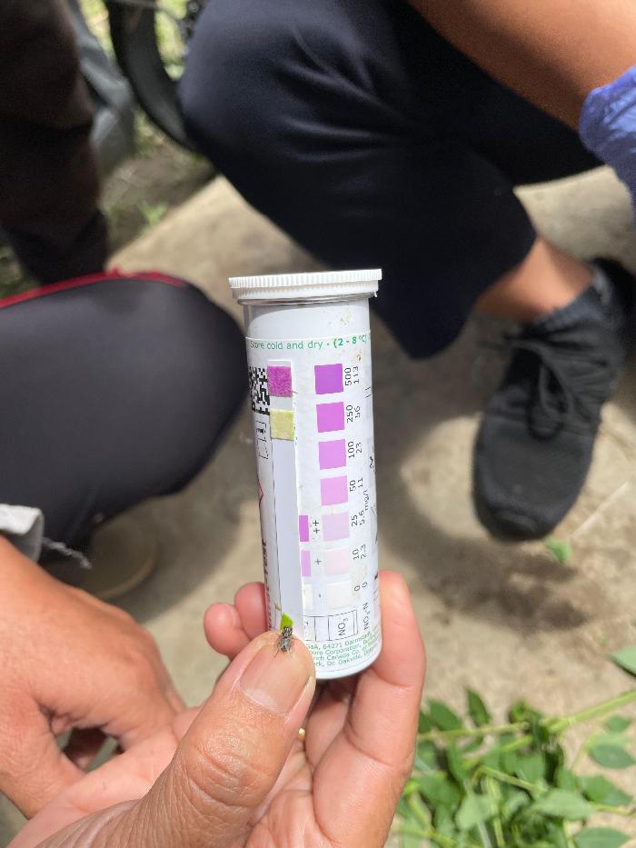 Foto laporan tambahan