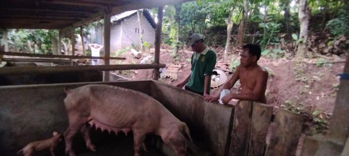 Foto laporan tambahan