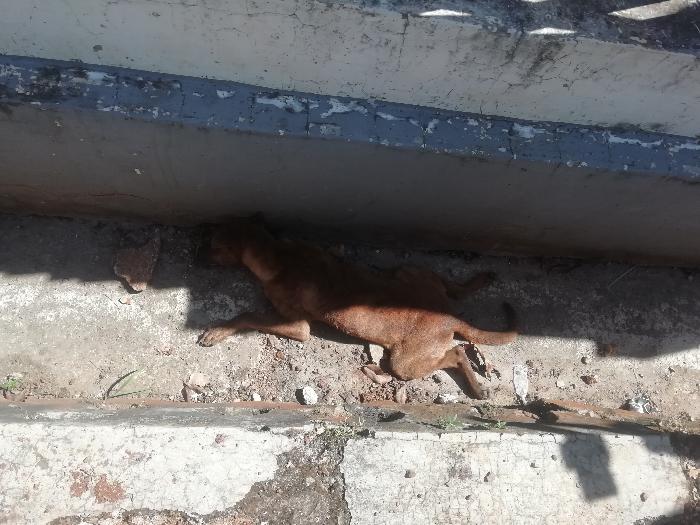 Foto laporan tambahan