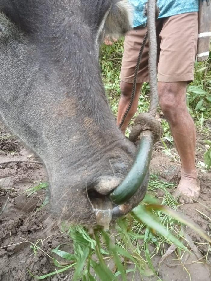 Foto laporan tambahan