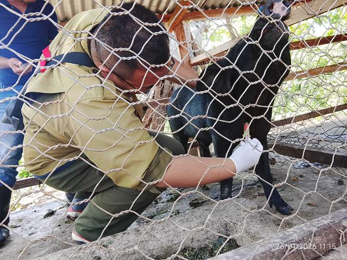 Foto laporan tambahan
