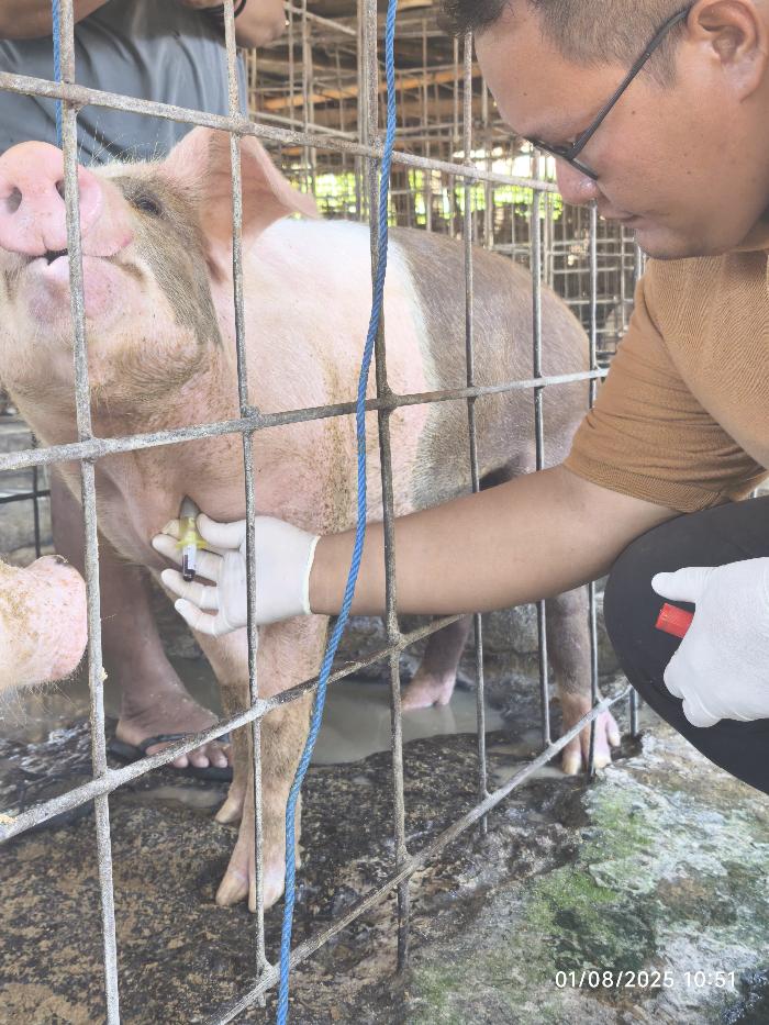 Foto laporan tambahan